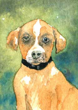 "Baby Tucker" by Mary Hilgendorf, Middleton WI - Watercolor (NFS)